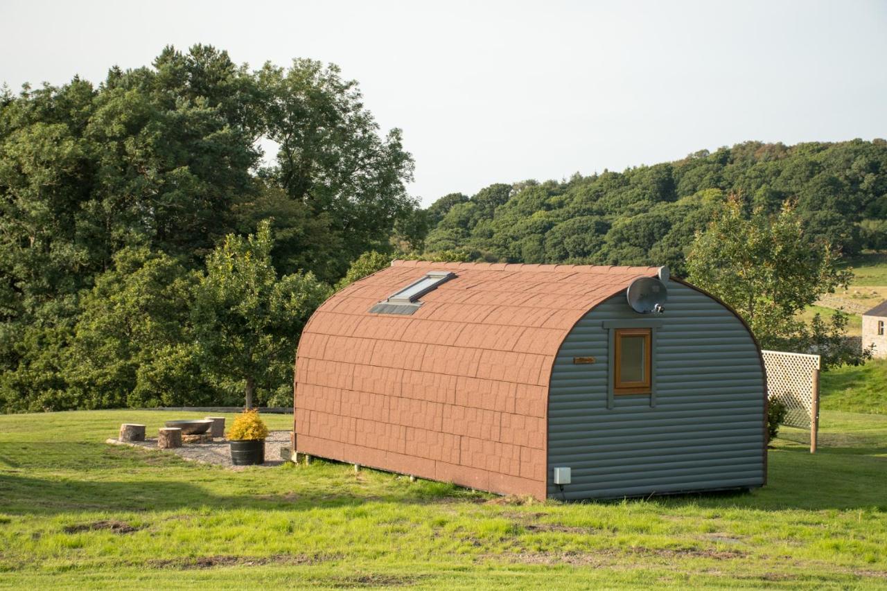 헥삼 Wild Northumberland Glamping 빌라 외부 사진