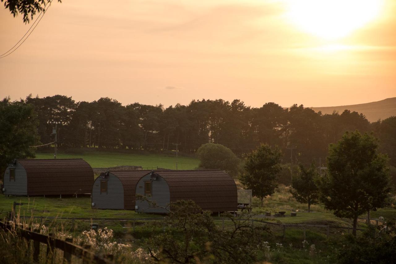 헥삼 Wild Northumberland Glamping 빌라 외부 사진